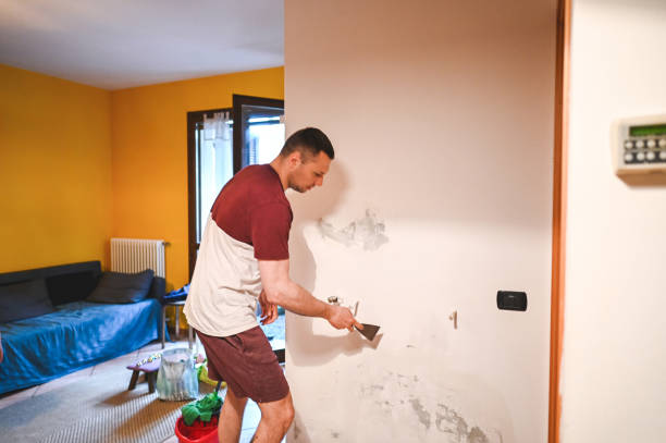 Best Emergency Mold Removal  in Weston, OH